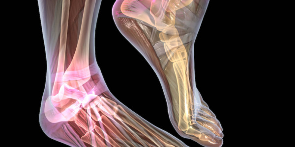Badanie i fizjoterapia funkcjonalna w uszkodzeniach stawu skokowego i stopy