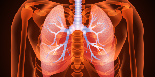 Współczesna fizjoterapia oddechowa – kurs zaawansowany